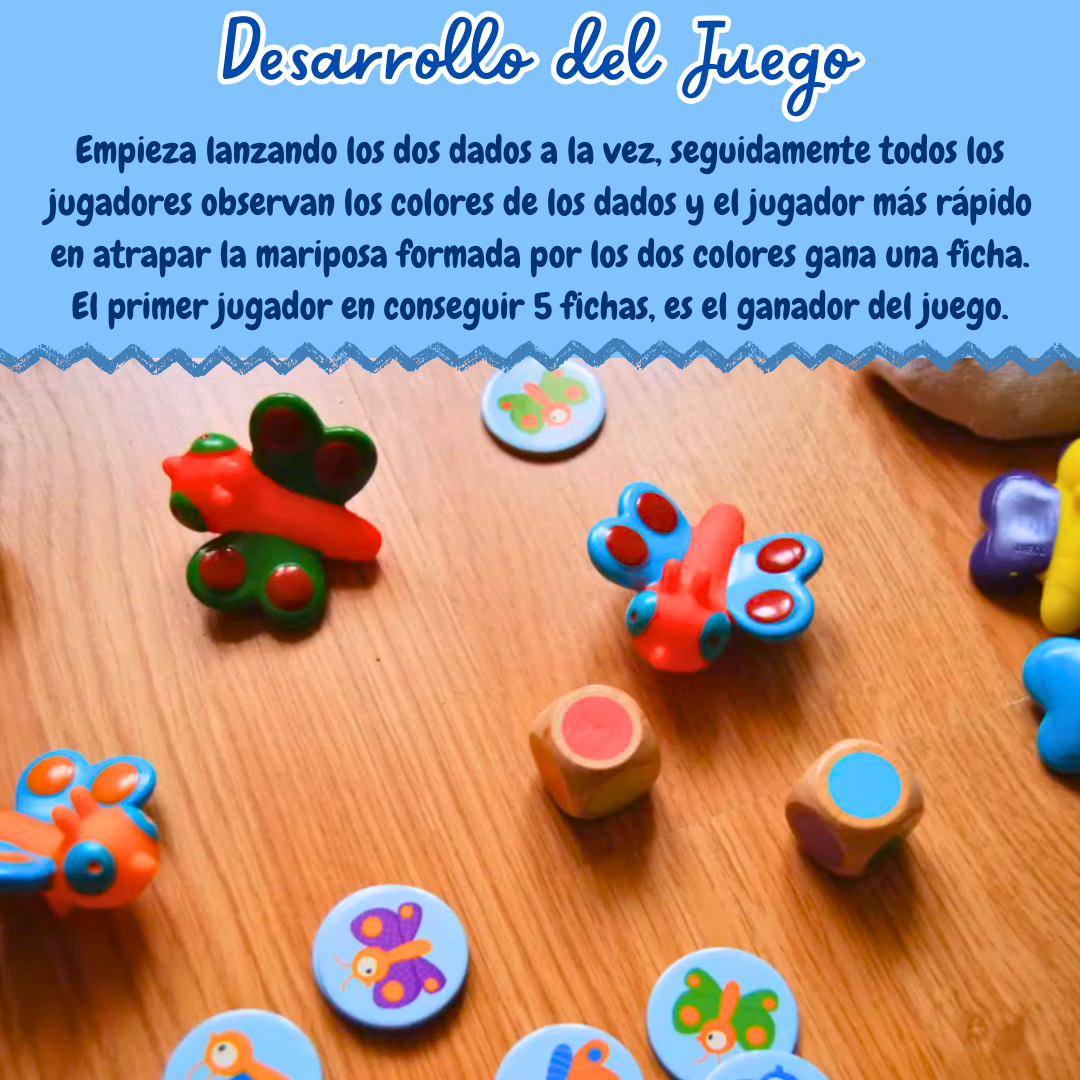 Djeco Little Observation – Juego de observación para niños desde 3 años
