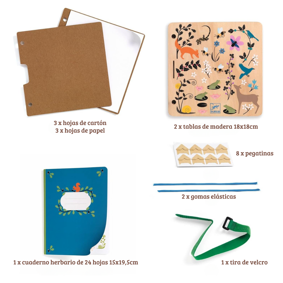 Kit infantil “Pequeño botanista” de Djeco – Prensa de flores y herbario para niños y niñas