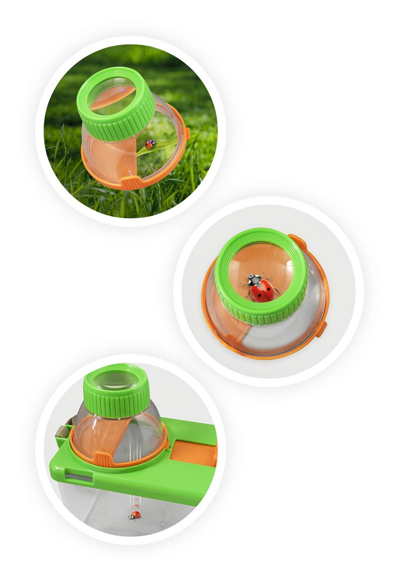 Buki Terrario – Kit de ciencias y jardinería infantil – Kulturdenda