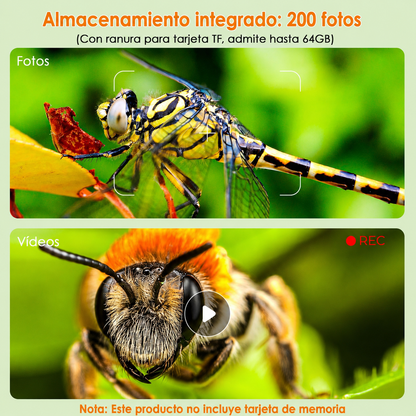 Microscopio Digital Infantil con Pantalla — Explora el Mundo en Detalle