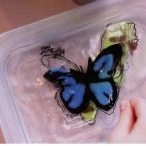 Set Jelly Bichos Tuban – Kit creativo de gelatina – Kulturdenda
