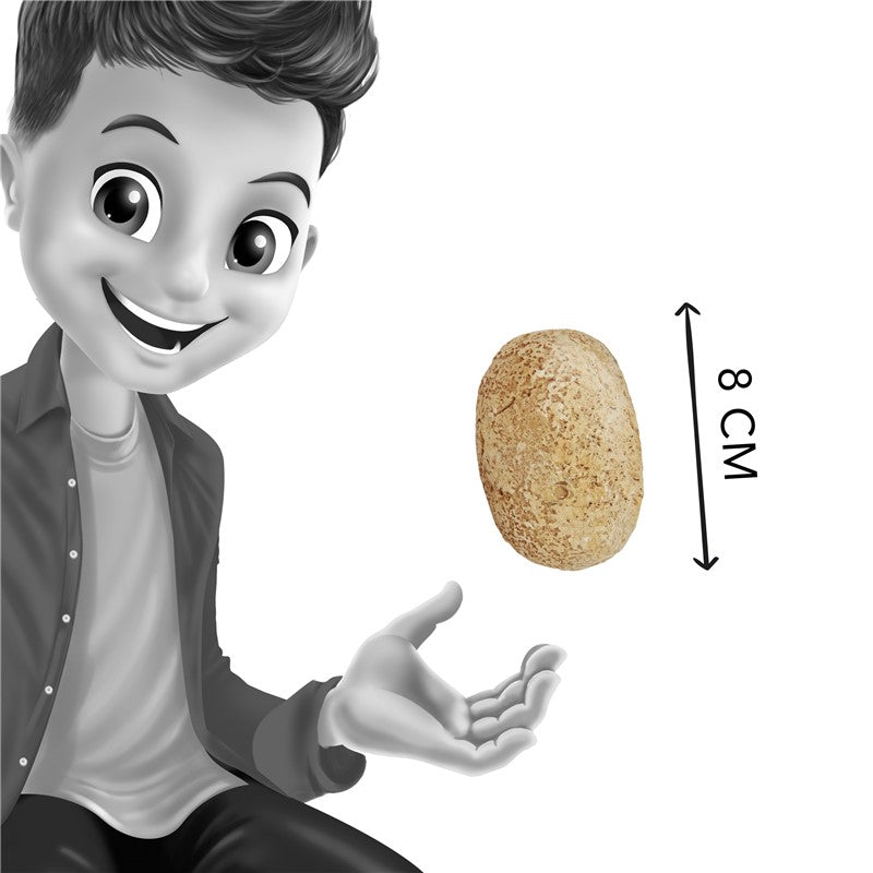 Buki Huevos de dinosaurio – Juguete educativo infantil – Kulturdenda