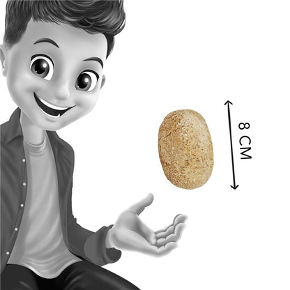 Buki Huevos de dinosaurio – Juguete educativo infantil – Kulturdenda