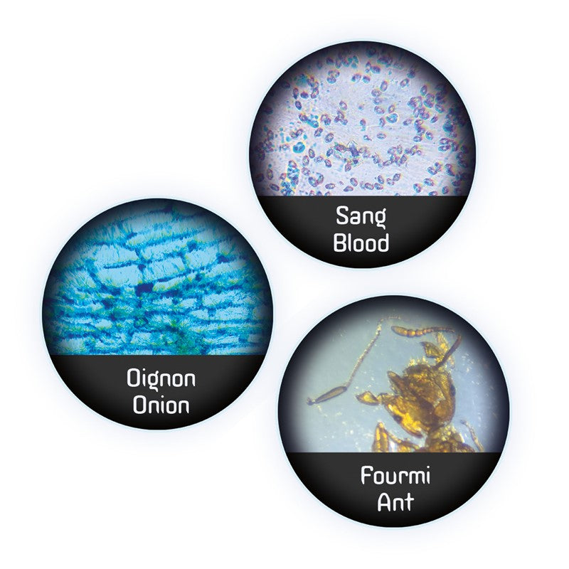 Láminas para microscopio Buki pack 20 muestras