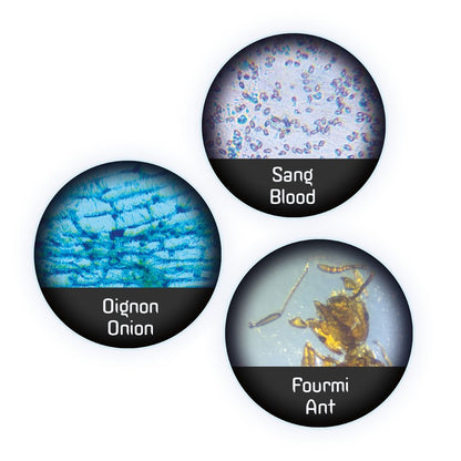 Láminas para microscopio Buki pack 20 muestras