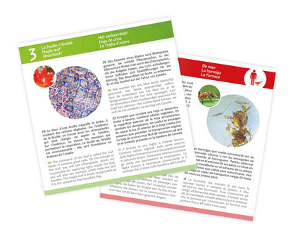 Láminas para microscopio Buki pack 20 muestras