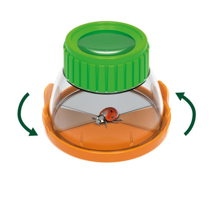 Buki Terrario – Kit de ciencias y jardinería infantil – Kulturdenda