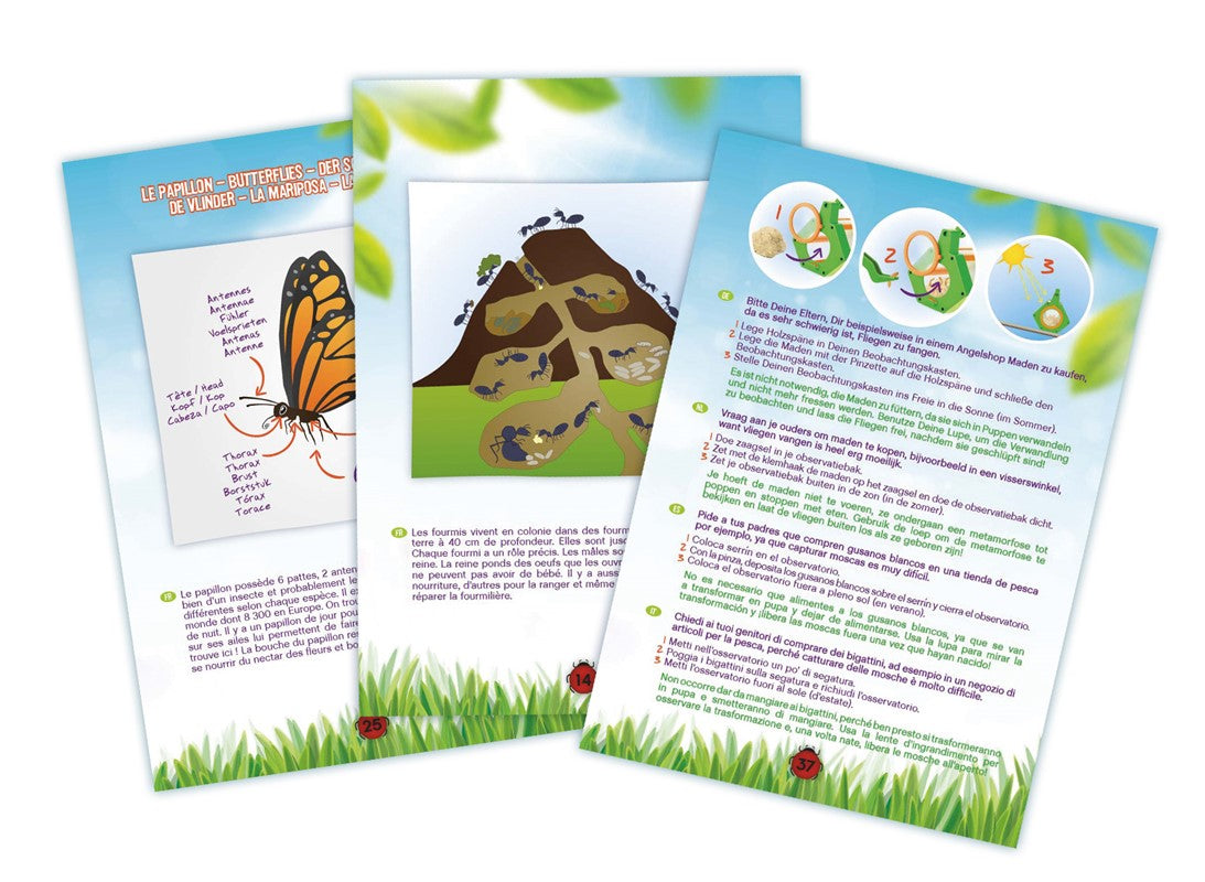Kit explorador de insectos Buki lupa y observación