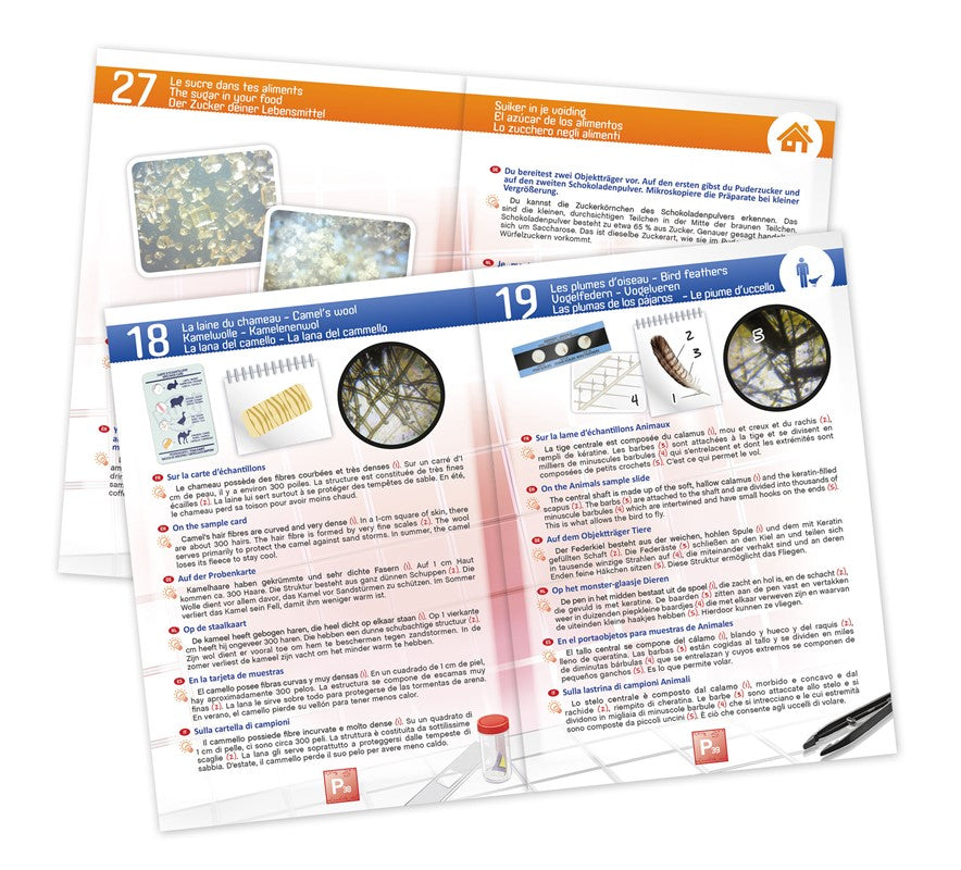 Buki Microscopio con 30 experimentos – Kit de ciencias infantil – Kulturdenda